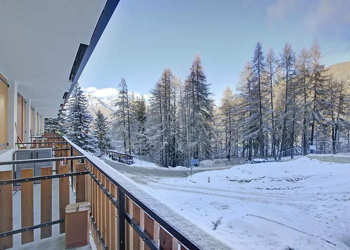 Studio Abete Rosso 500M From Ski - Happy Rentals